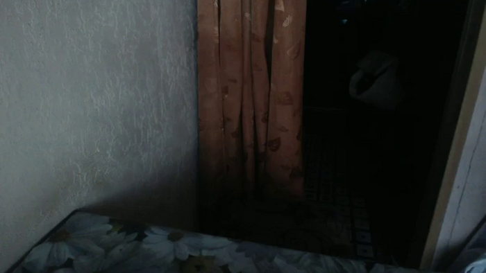 LilyDreamy