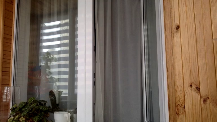 Tina_a