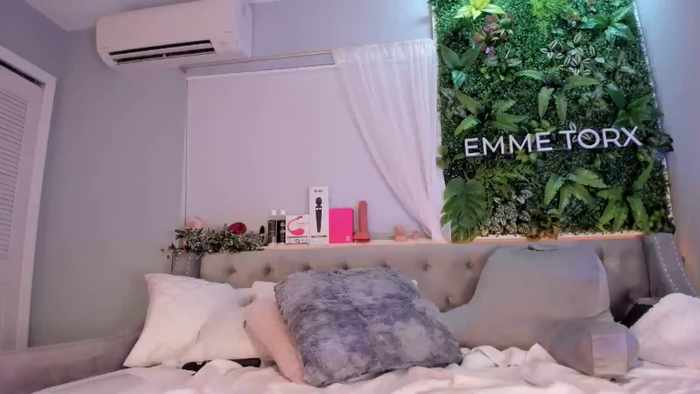 EmmeTorx