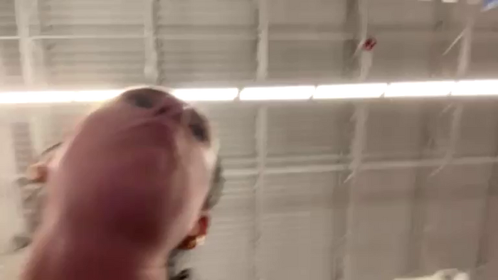 xoSandraTemplexo