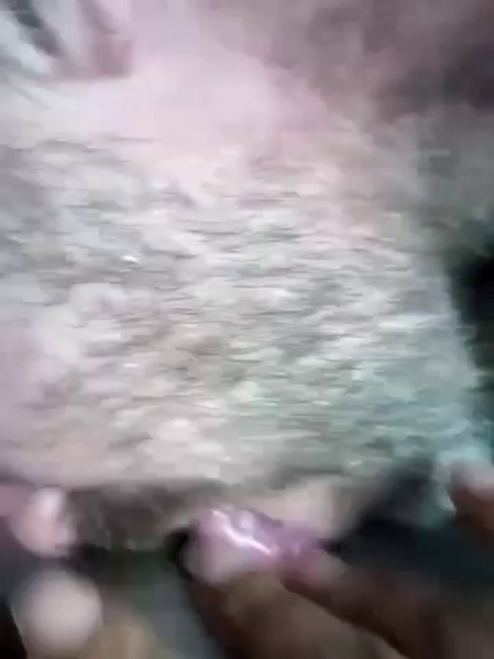 AmazonianMistress