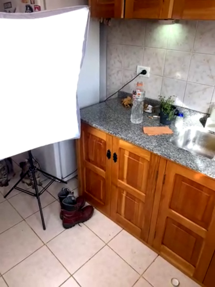 Elnonoykeila77