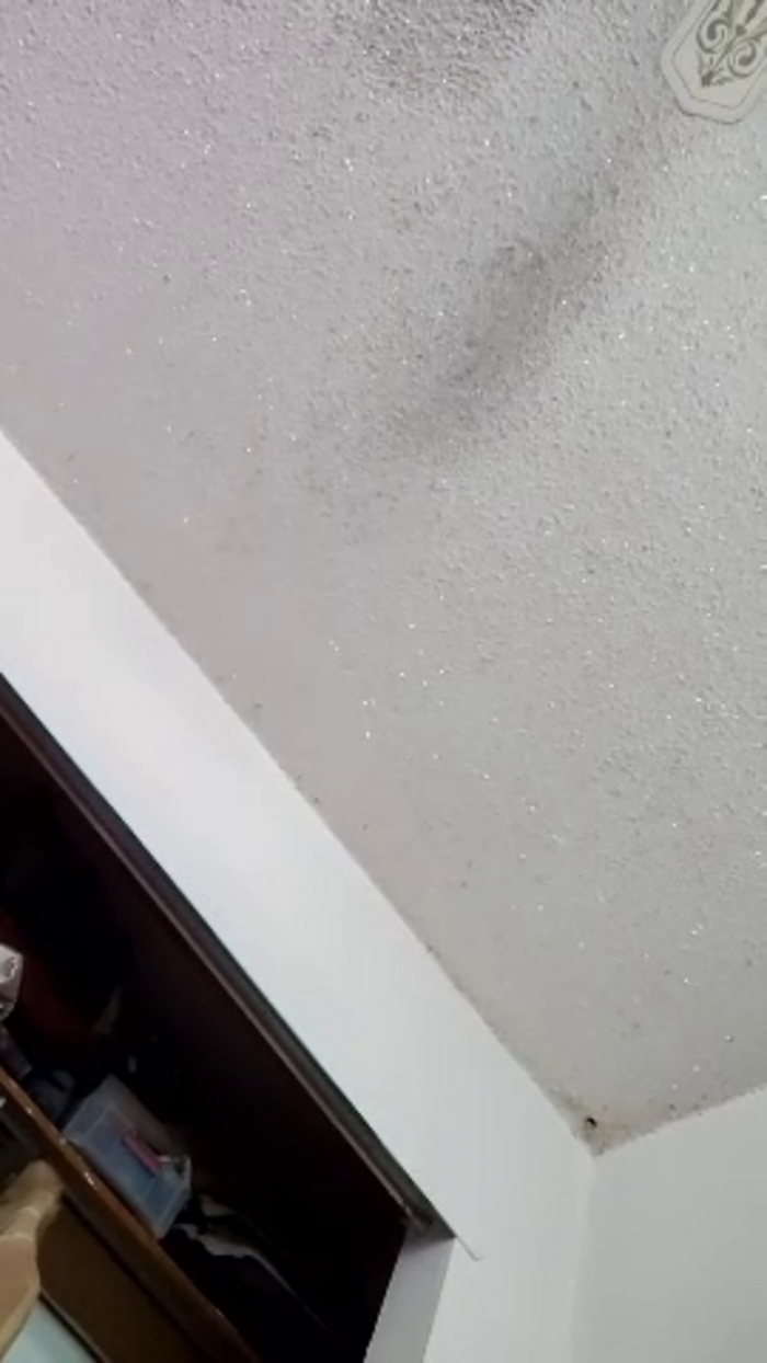 Jediking_Jediqueen420