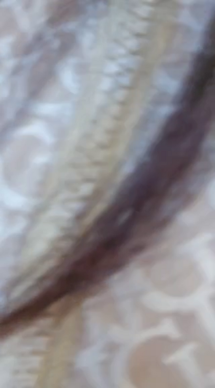 NathalieDream