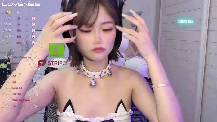 InsSASA_a
