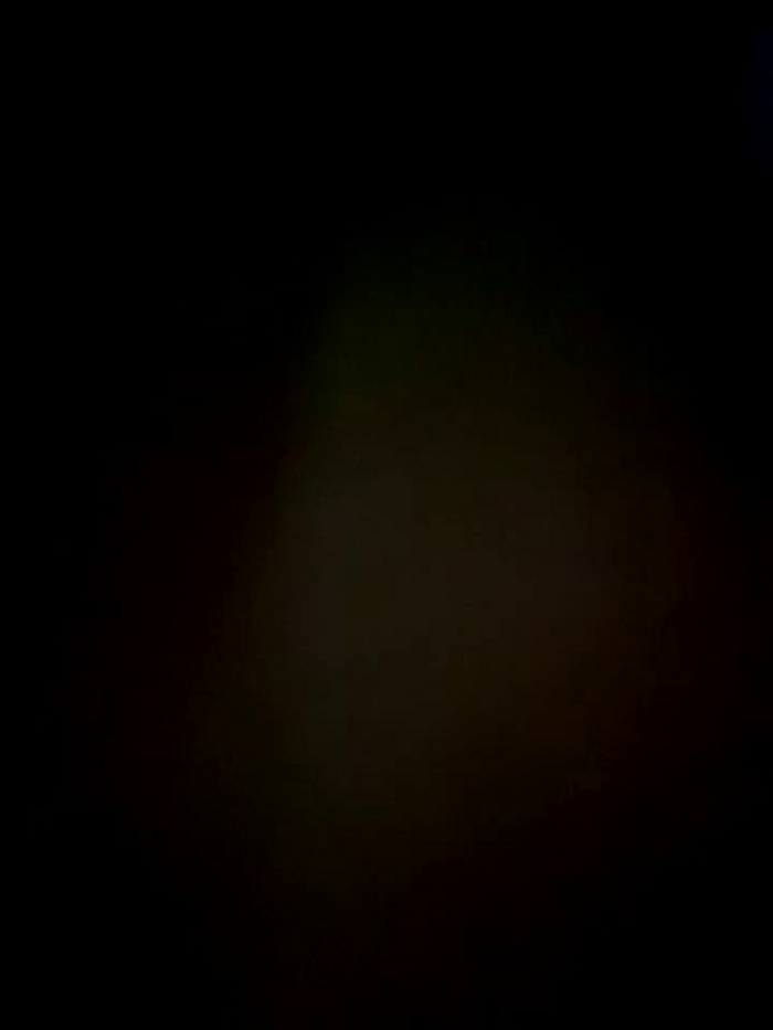 Bunny22_