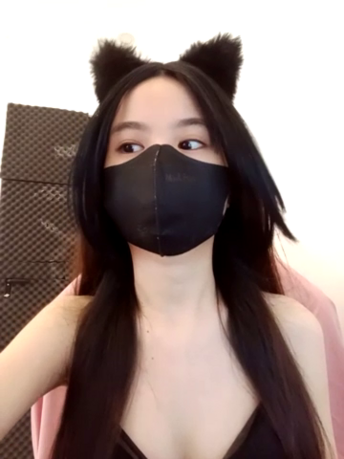 Cat_baby69