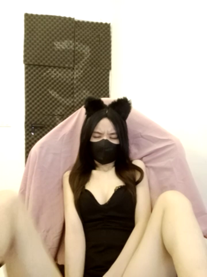 Cat_baby69
