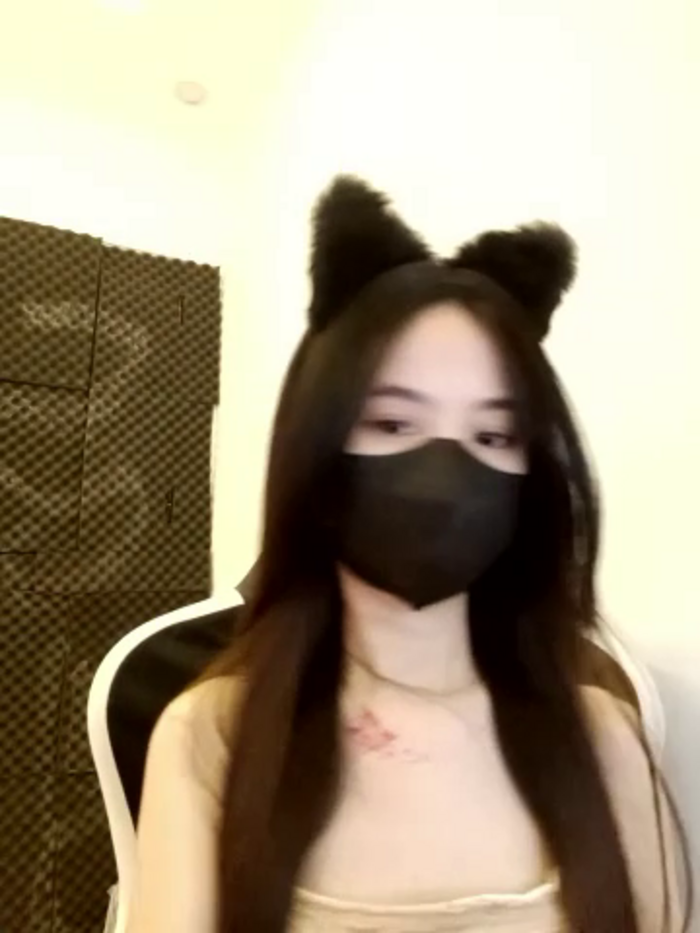 Cat_baby69
