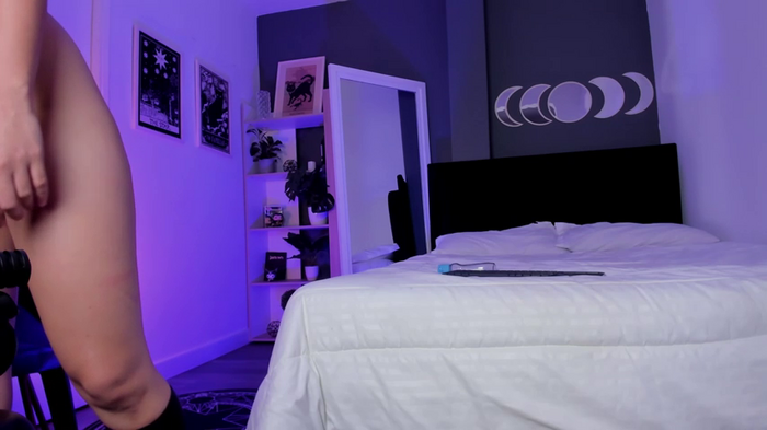 VioletPaket