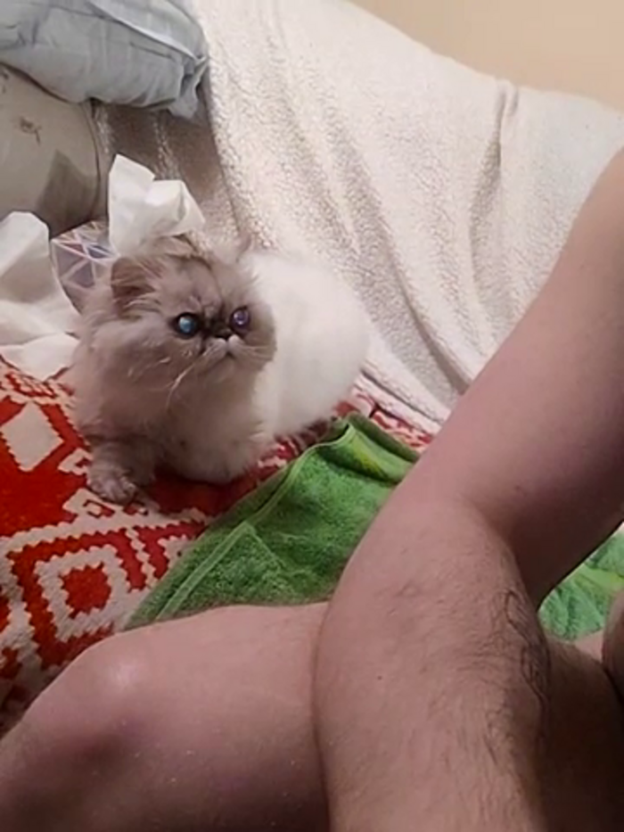 youngfatload