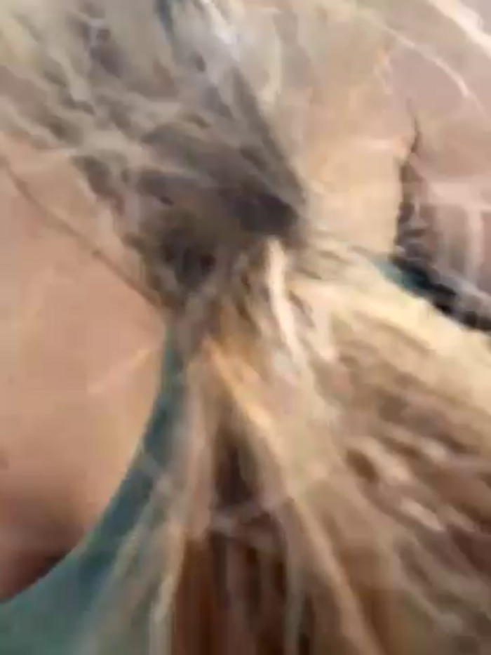 KittyWhispers