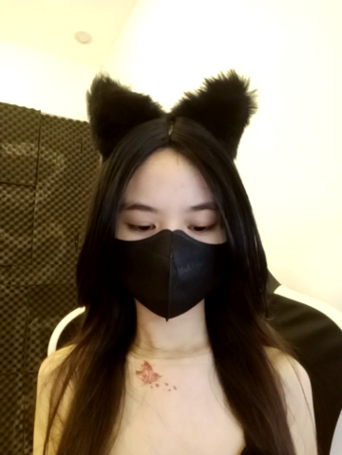 Cat_baby69
