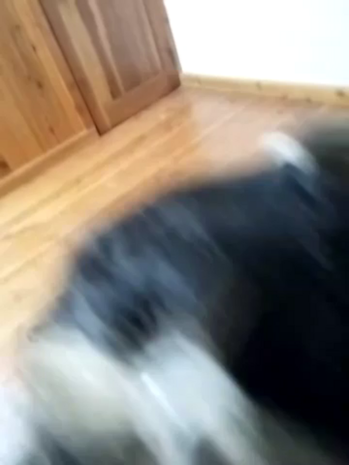 mariamac420