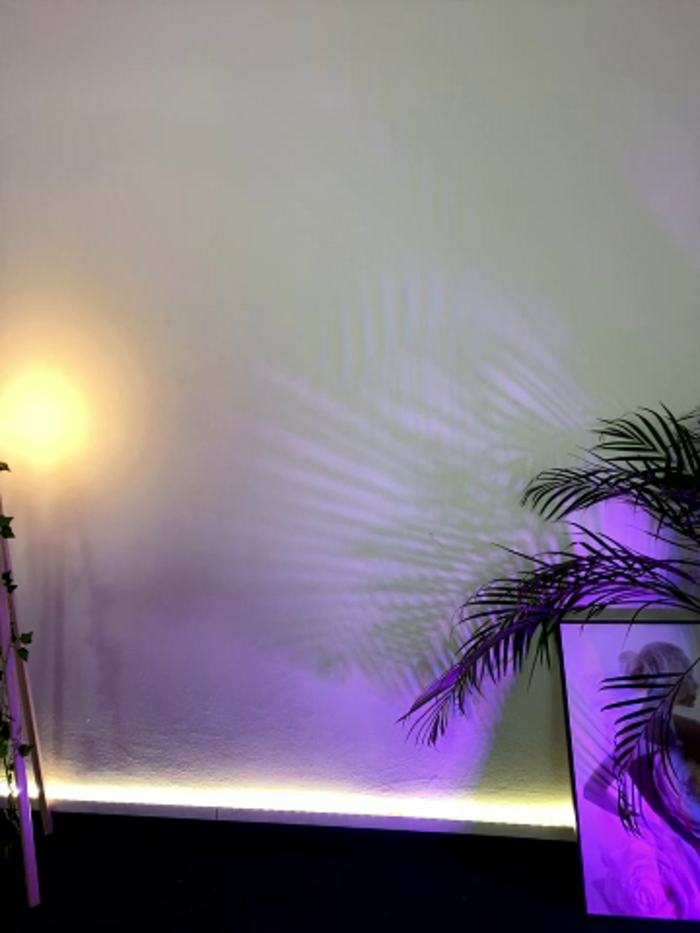 -Light-Soul-