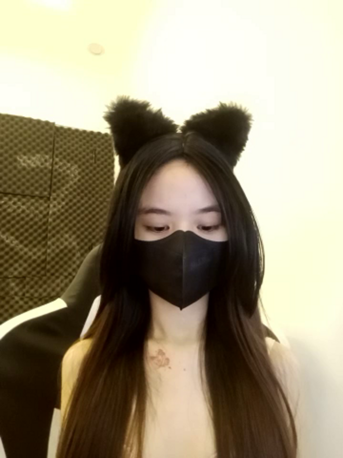 Cat_baby69