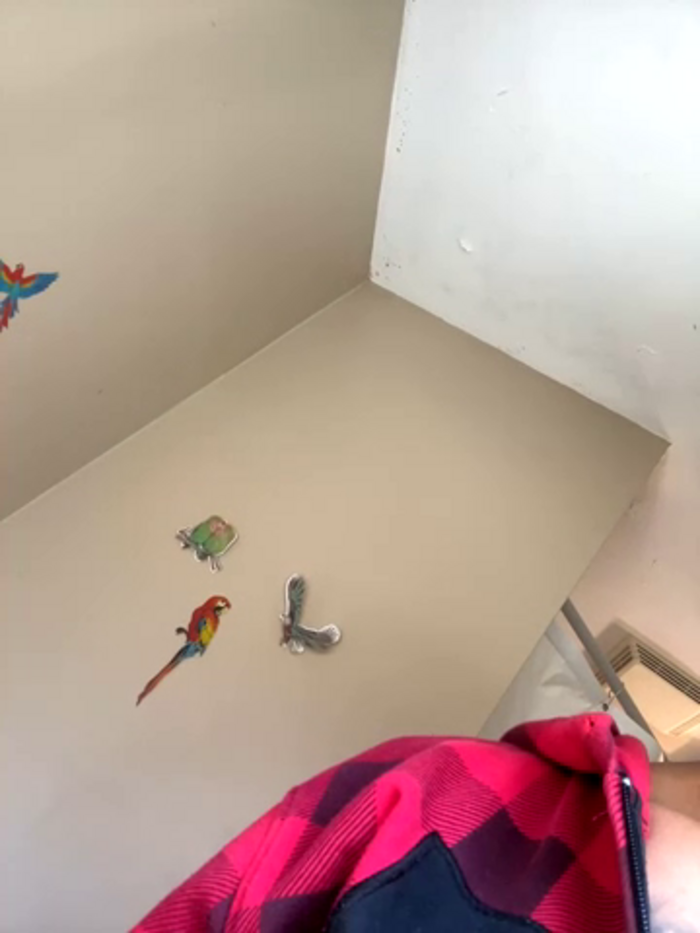 Samibbc21