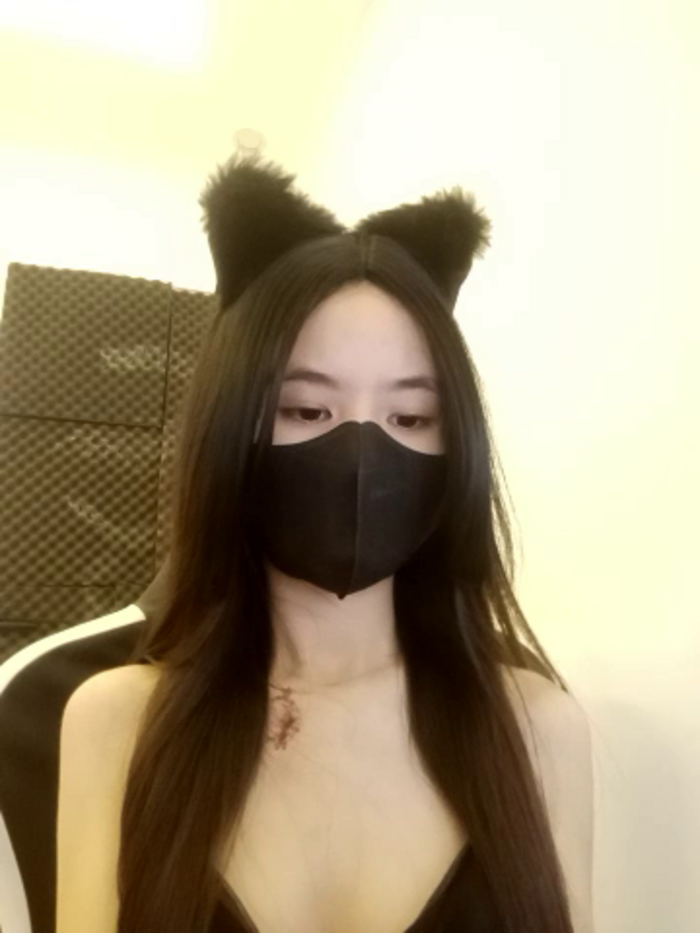 Cat_baby69
