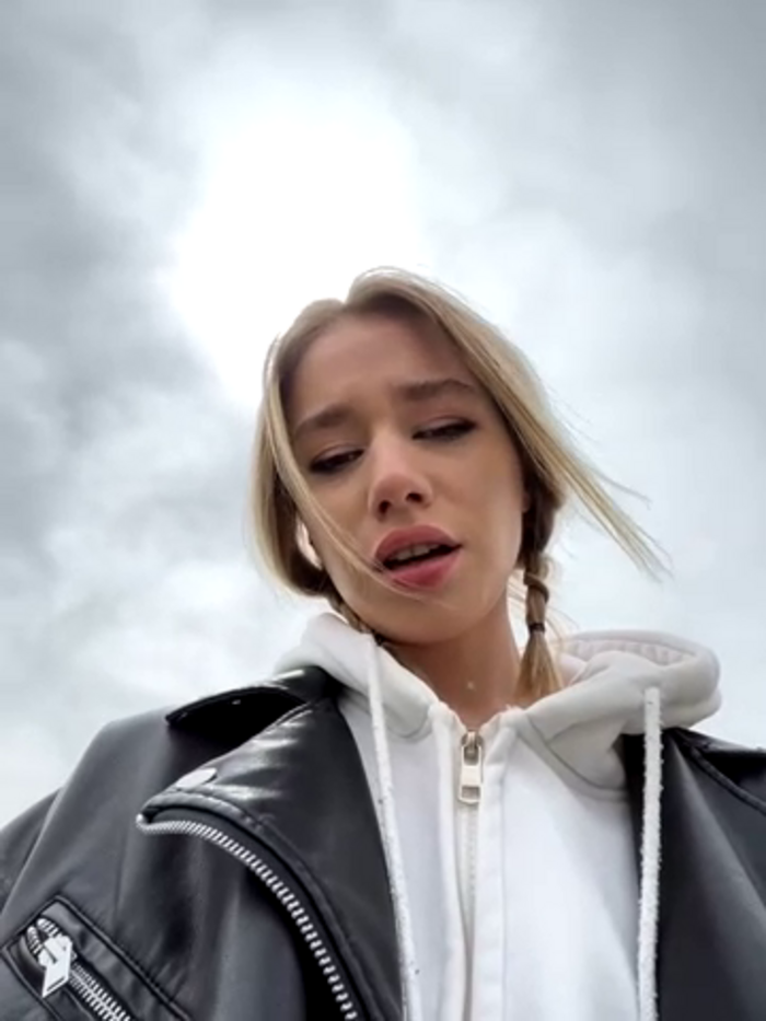 SSSATIVA_model