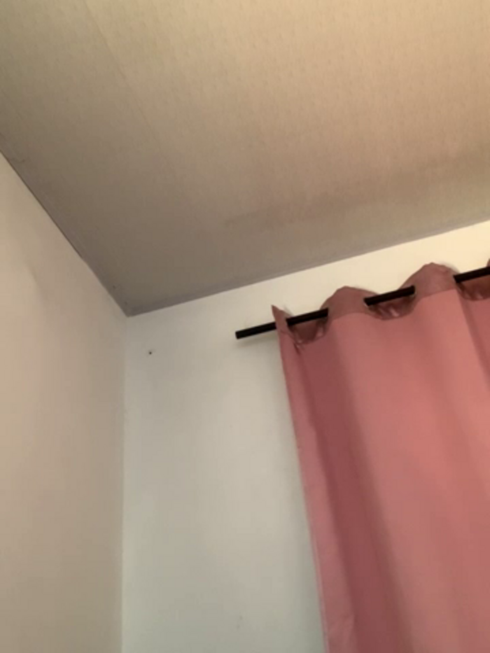 meliAngelical