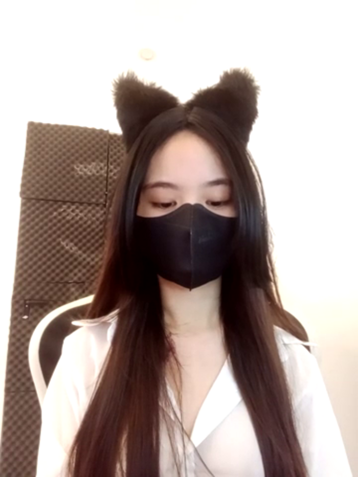 Cat_baby69