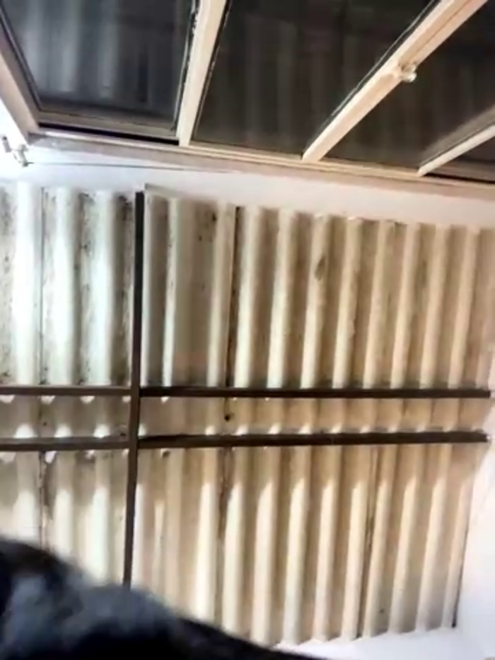 indialatinxxx