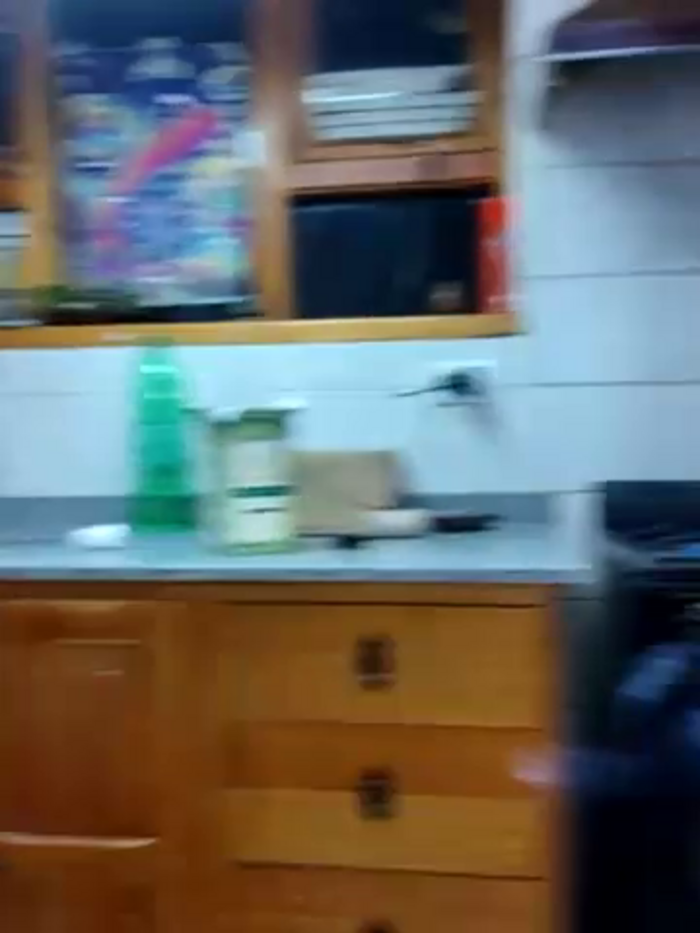 Elnonoykeila77