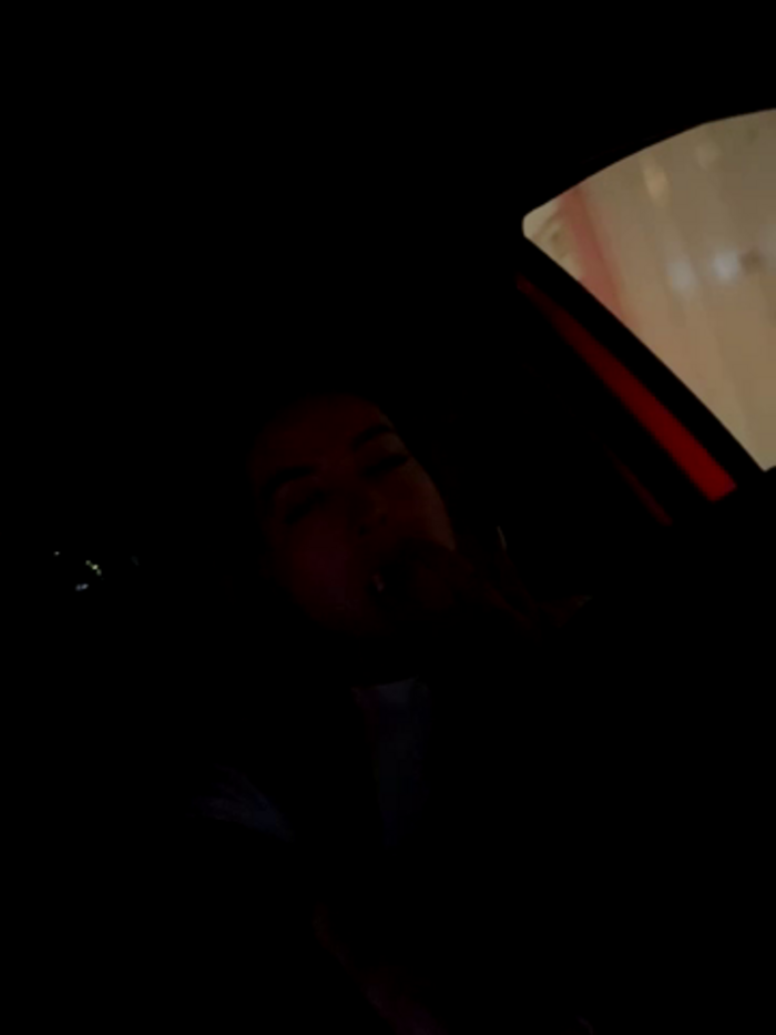 Alexa_fort