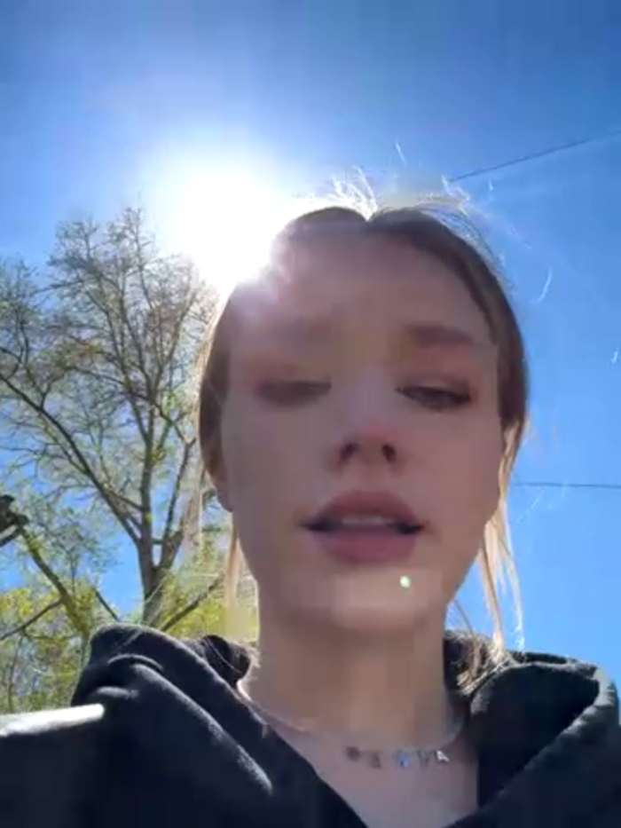 SSSATIVA_model