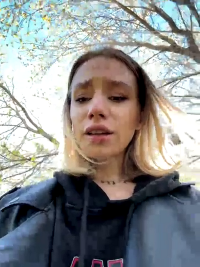 SSSATIVA_model