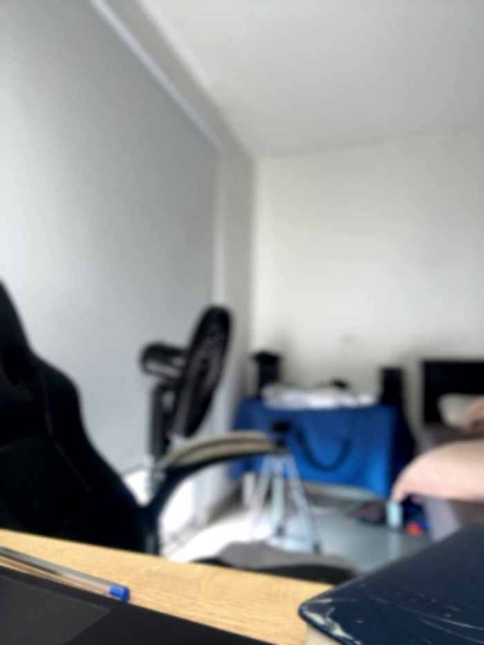 horny_roomiess