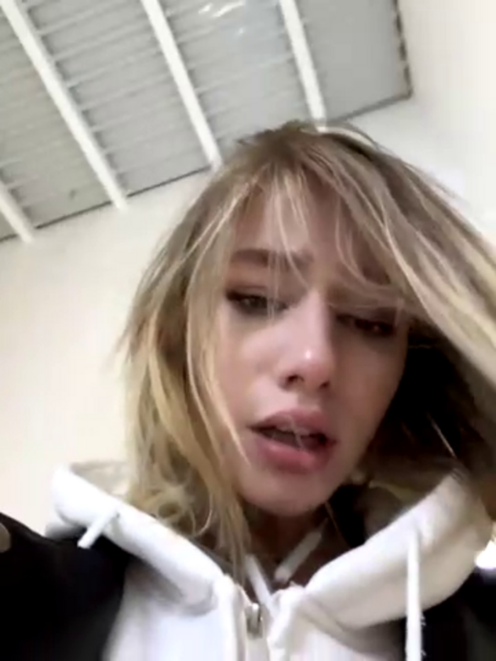SSSATIVA_model