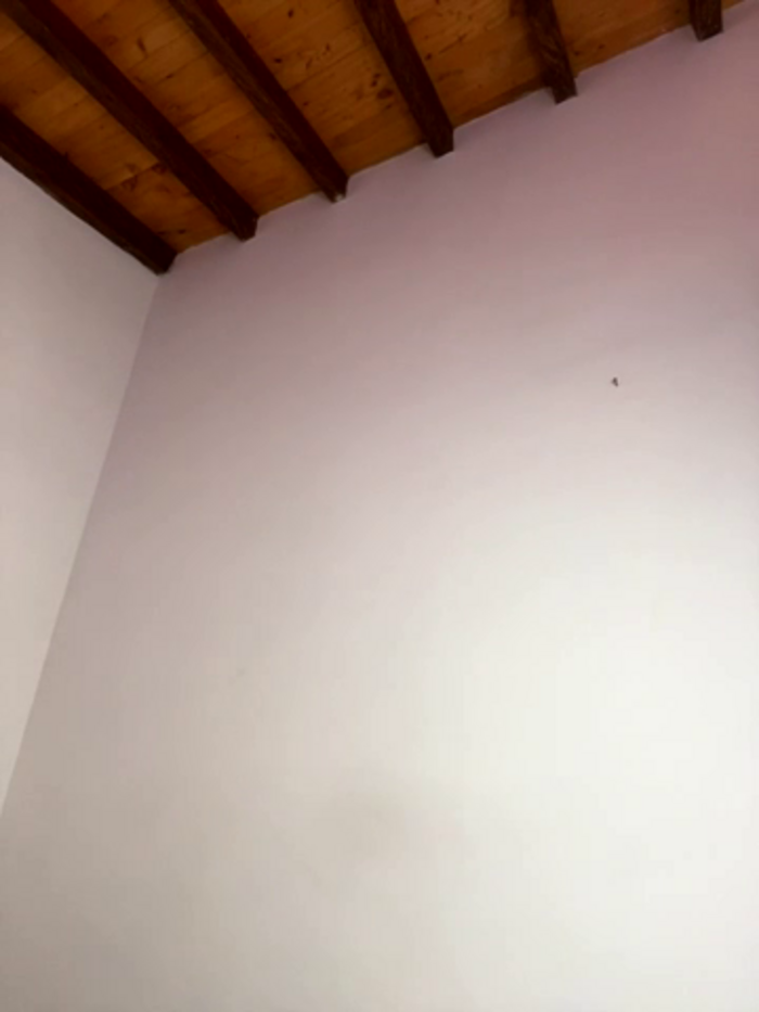 Alicia_Ruiz