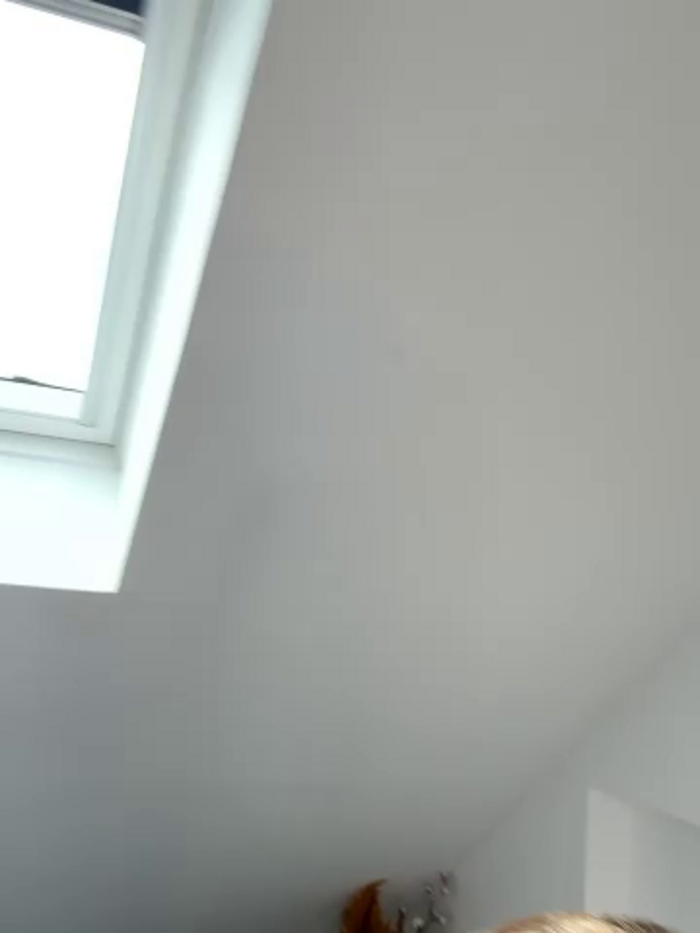 FoxyFrenchy