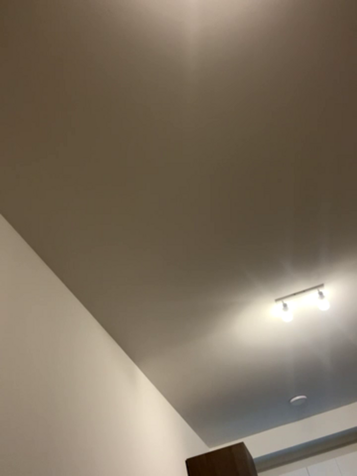 kiarafonseca_
