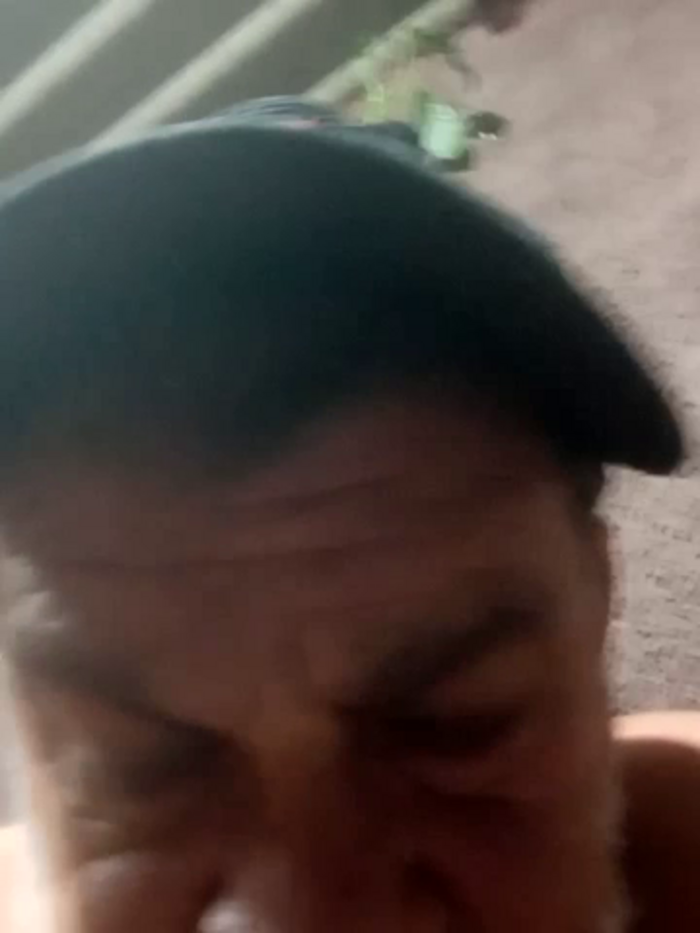 Peludo173317
