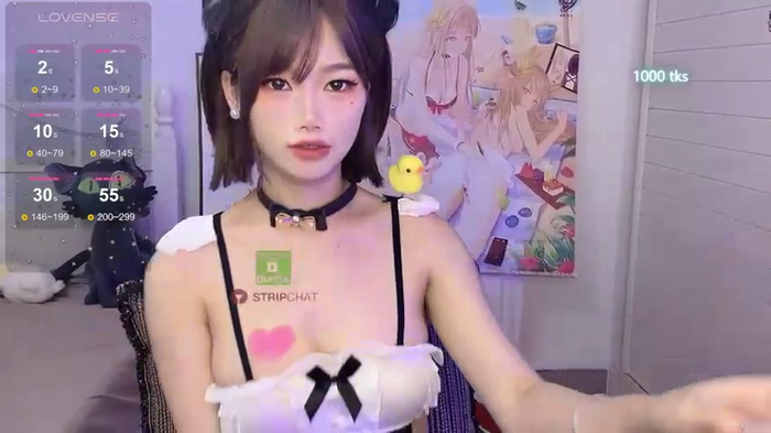 InsSASA_a