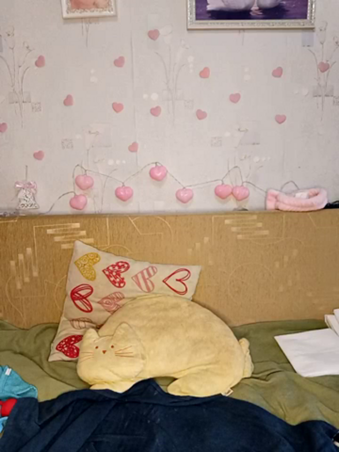 Katti_Kissa