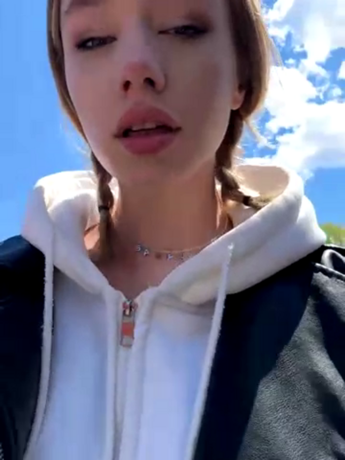 SSSATIVA_model