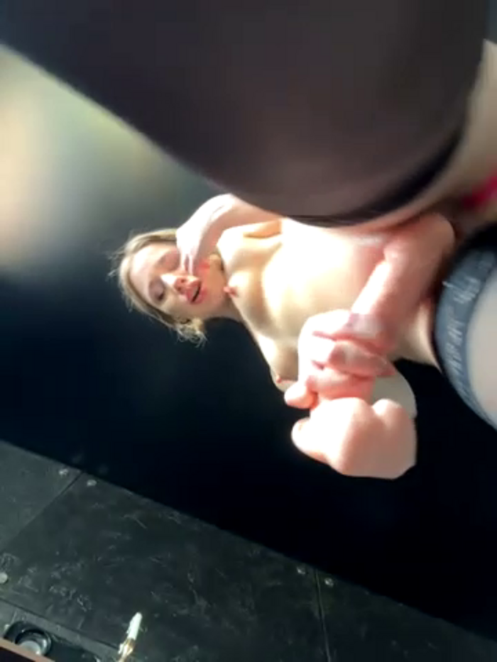 SSSATIVA_model