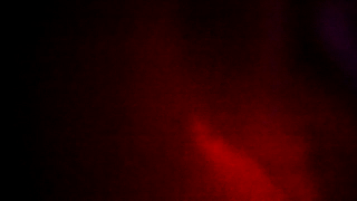 Leylafourniert