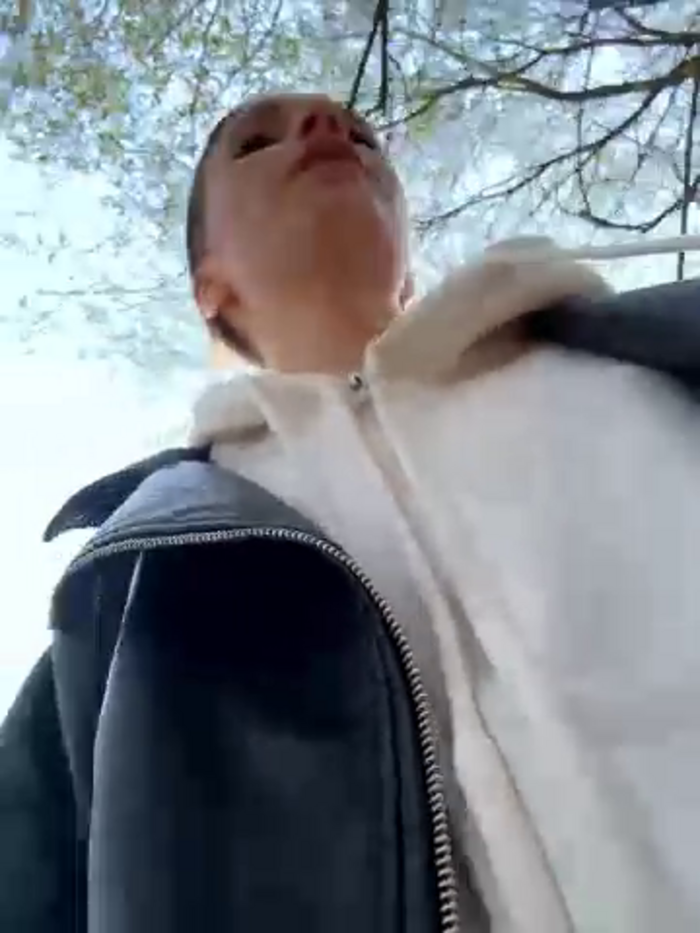 SSSATIVA_model