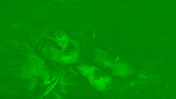 isisxoxx