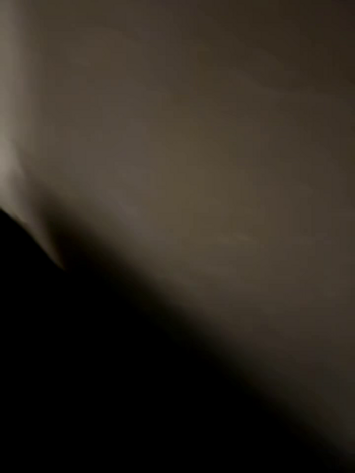 DaHomieDubs