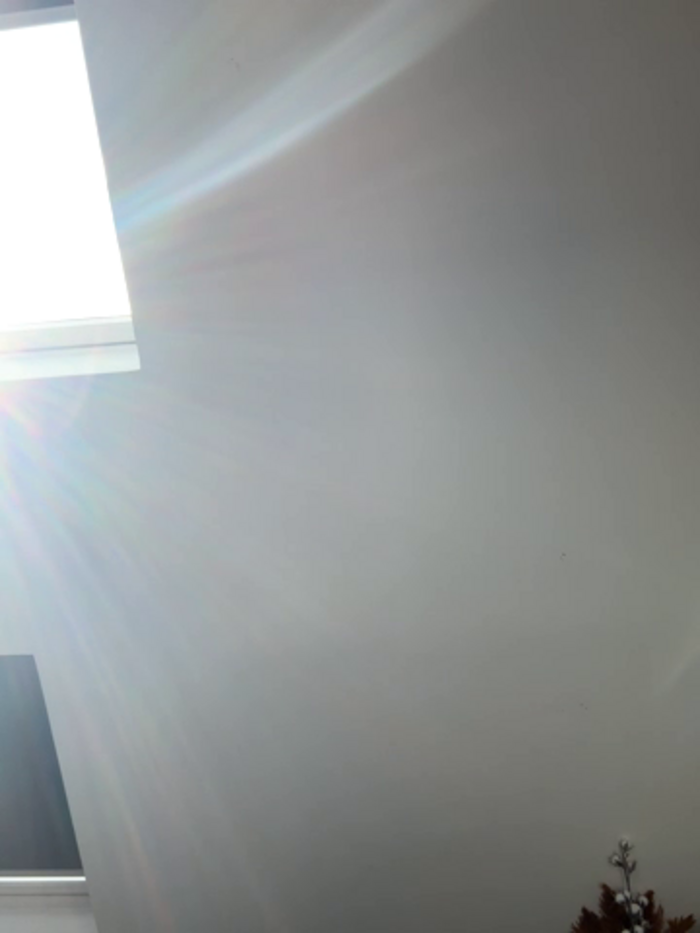 FoxyFrenchy