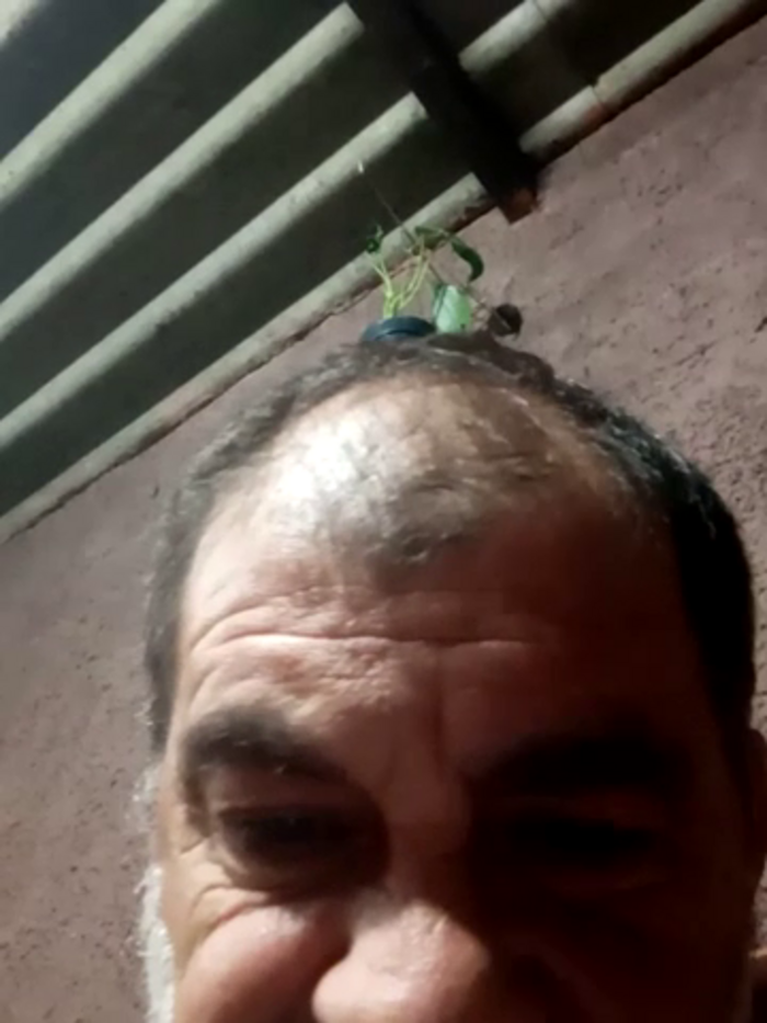 Peludo173317