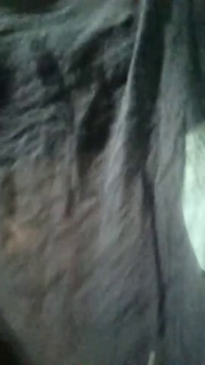 Vergingirl18