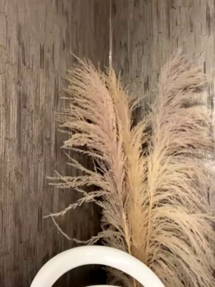 Eva_Gonzalez