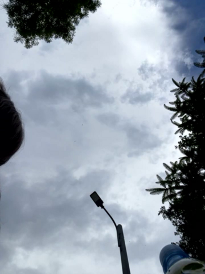 BabeRainbow