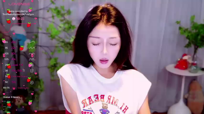 xiaolizi-1314